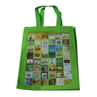 濮阳LB11覆膜无纺布广告袋